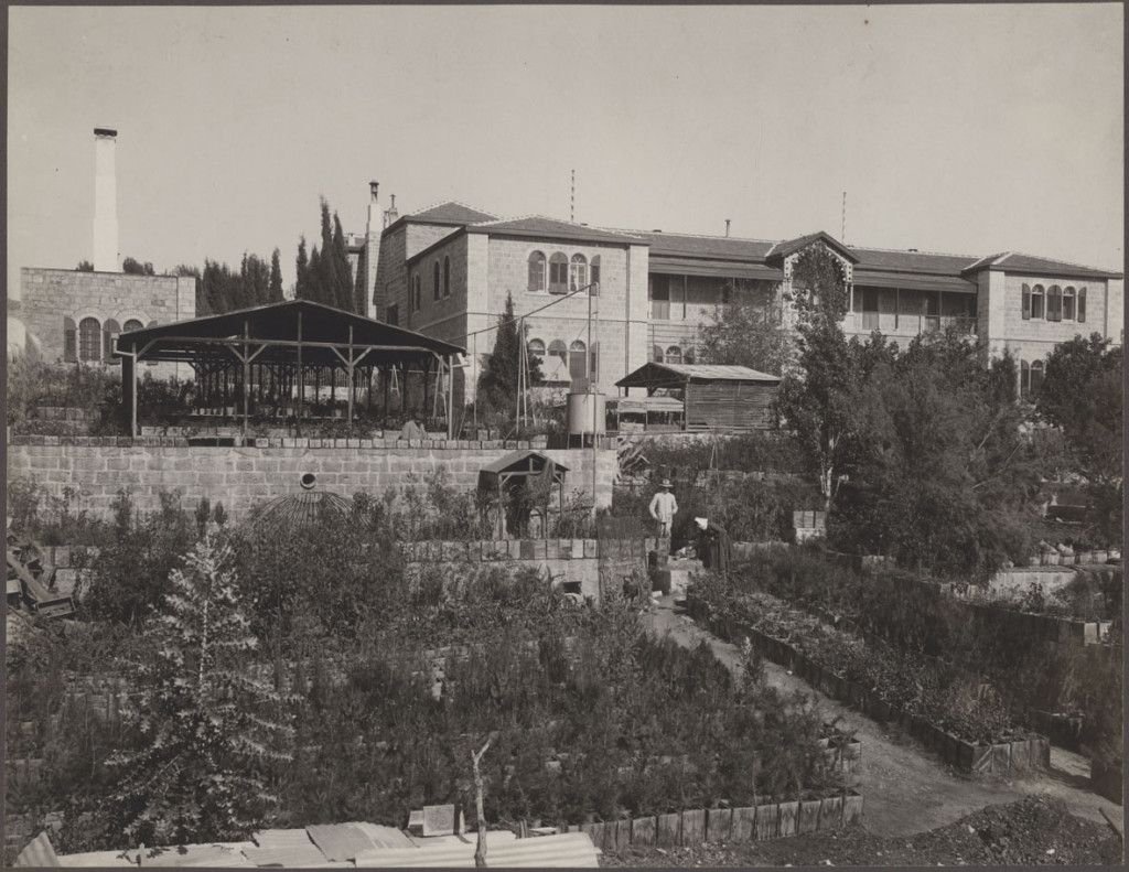 הנסן 6